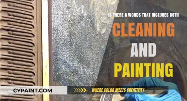Revamp Your Space: The Ultimate Guide to Cleaning and Painting Words