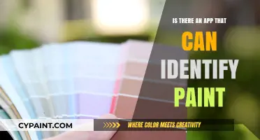 Discover Paint Colors Instantly: Apps That Identify Paint Shades