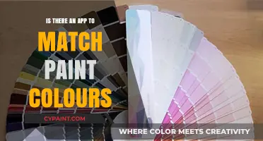 Discover the Perfect Paint Match: Apps for Color Coordination