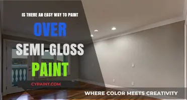 Effortless Makeover: Painting Over Semi-Gloss Paint Simplified