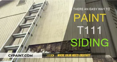 Simplifying the Painting Process for T111 Siding