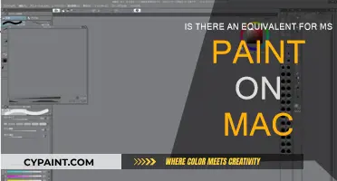 Paintbrush: Mac's Alternative to MS Paint