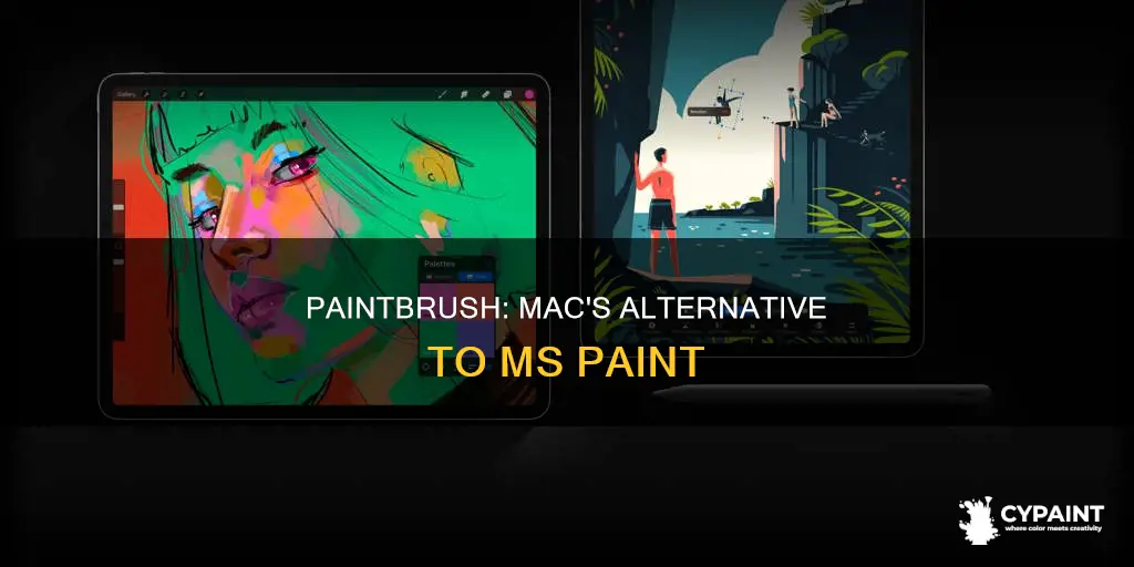 Paintbrush Mac's Alternative To Ms Paint CyPaint