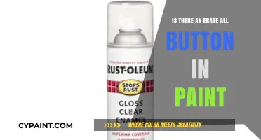 Does Paint Have an Erase All Button? Quick Tips Revealed