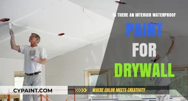 Waterproof Paint for Drywall: Interior Solutions and Best Practices