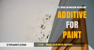 Mildew-Resistant Paint Additives: Enhancing Durability and Preventing Mold Growth