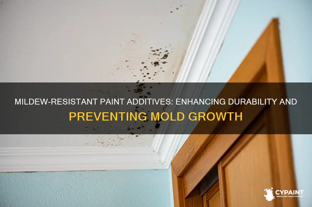 is there an mildew resistant additive for paint
