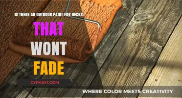 Durable Deck Paint: Weather-Resistant Options for Long-Lasting Outdoor Spaces