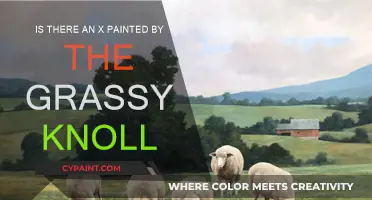 Exploring the Grassy Knoll: Is There an X?