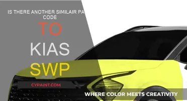 Discovering Kia's SWP Paint Code Alternatives