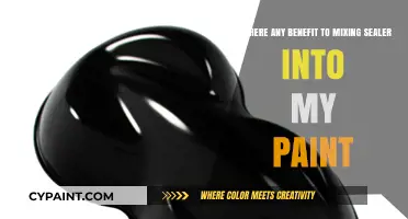 Enhancing Durability: The Benefits of Mixing Sealer into Paint