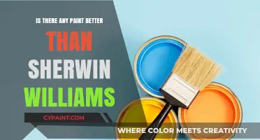 Top Paint Brands Compared: Is Sherwin-Williams the Best Choice?