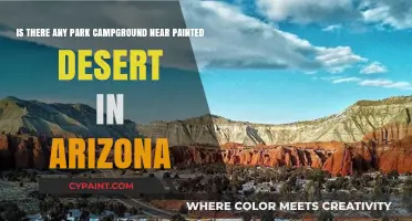 Exploring Arizona: Campgrounds Near the Painted Desert