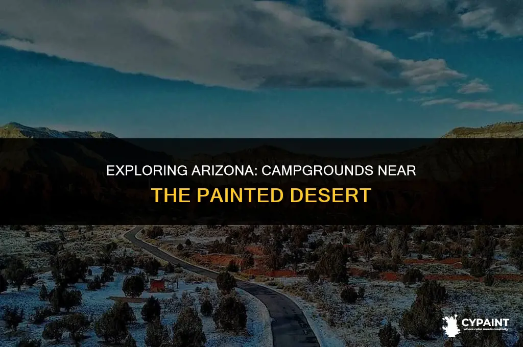 is there any park campground near painted desert in arizona