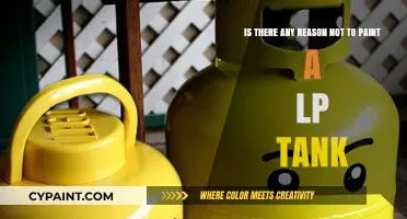 Exploring the Pros and Cons of Painting Your LP Tank