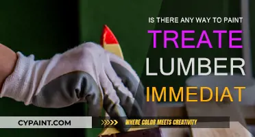 How to Paint Treated Lumber Without Delay?