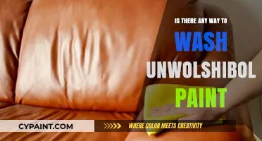 How to Wash Unwashable Paint: Tips and Tricks for Removal