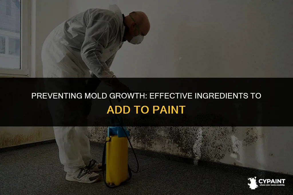 is there anything youcould put im paint to stop mold