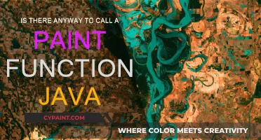 Mastering Java's Paint Function: A Comprehensive Guide