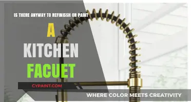 Revamping Your Kitchen Faucet: Refinishing and Painting Options