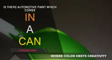Automotive Paint in Cans: Pros, Cons, and Applications