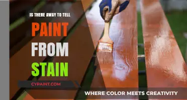 Paint vs. Stain: How to Identify and Differentiate the Two