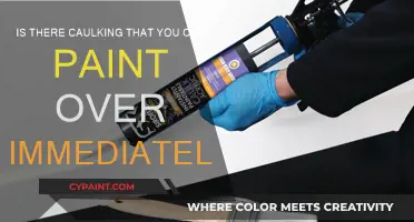 Caulking and Painting: Can You Paint Over Caulk?