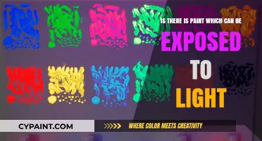 Illuminating Innovations: Exploring Light-Responsive Paints