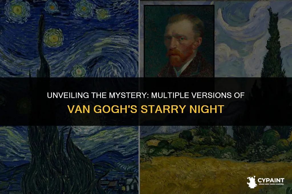 is there more than one van gogh starry night painting
