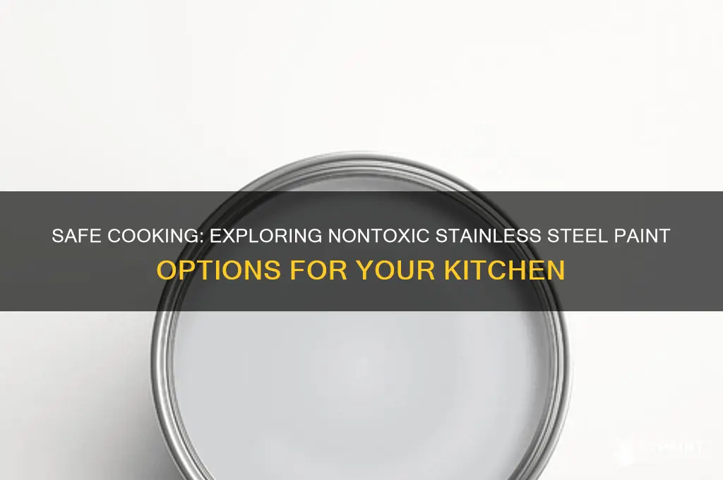 is there nontoxic stainless steel paint for cooking