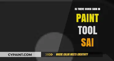 Does Paint Tool SAI Include an Onion Skin Feature for Animation?