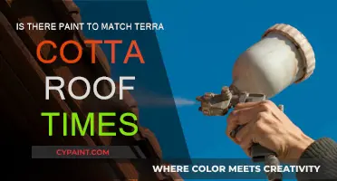 Matching Terra Cotta Roof Tiles: Paint Color Options