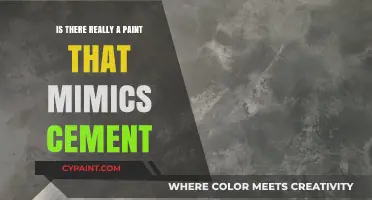 Can Paint Mimic Cement? Exploring Textured Finishes for Modern Walls