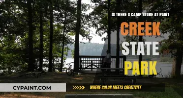 Exploring Paint Creek State Park: Your Guide to On-Site Amenities