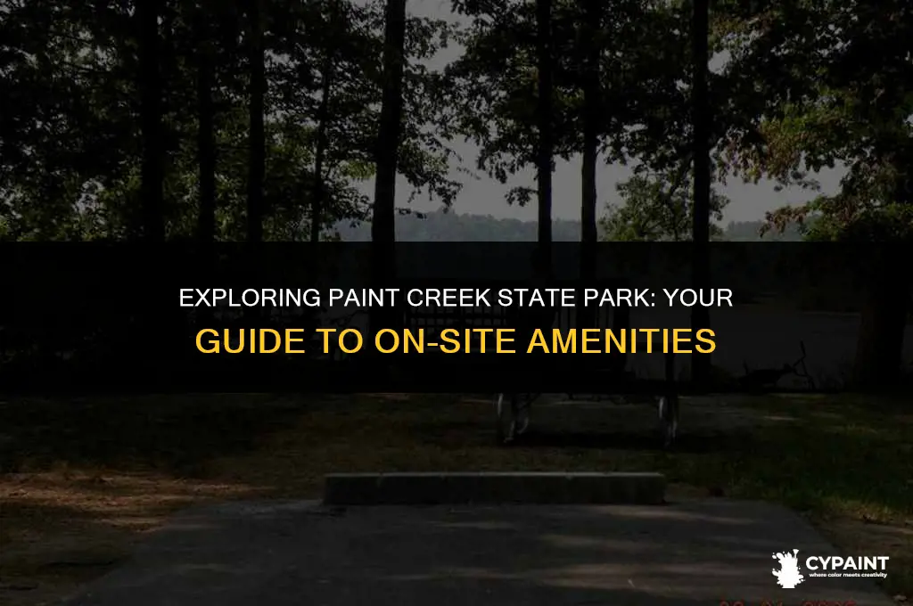 is there s camp store at paint creek state park