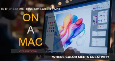 Finding Paint on Your Mac