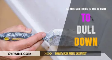 Enhancing Paint: Techniques to Achieve a Muted Finish
