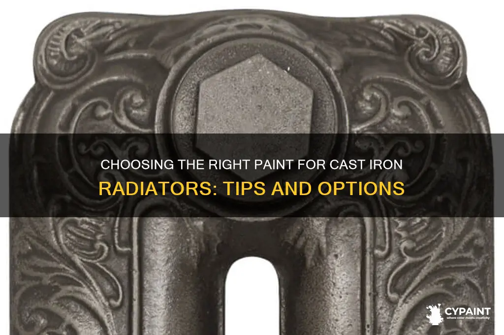 is there special paint for cast iron radiators