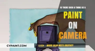 Exploring the Myth: Can You Really Paint On a Camera?