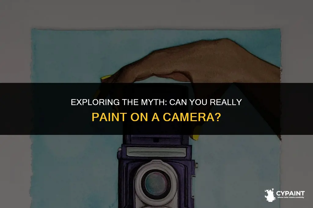 is there such a thing as a paint on camera