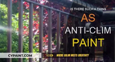 Anti-Climb Paint: Effective Security Solution or Myth?
