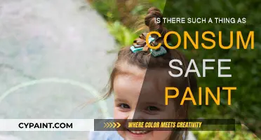 Safe Paint for Consumers: Myth or Reality?