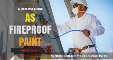 Fireproof Paint: Myth or Reality? Exploring Flame-Resistant Coatings