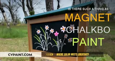 Magnetic Chalkboard Paint: A Real Thing or Myth?