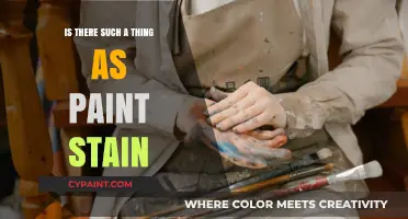 Unveiling the Truth: Are Paint Stains a Real Concern?