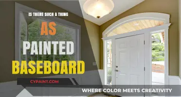 Painted Baseboards: A Stylish Option or Unconventional Choice?