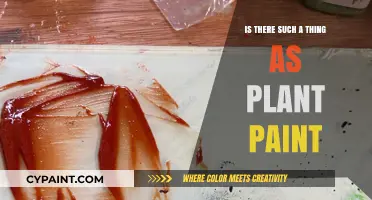 Exploring Eco-Friendly Options: Is Plant-Based Paint a Real Thing?