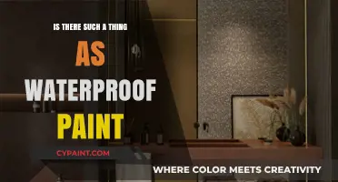 Waterproof Paint: Myth or Reality? Unveiling the Truth for Your Walls