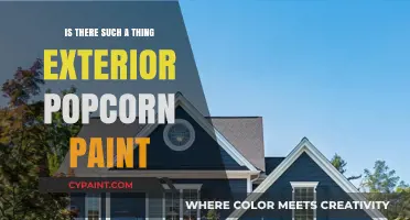 Exterior Popcorn Paint: Myth or Reality? Exploring Textured Finishes