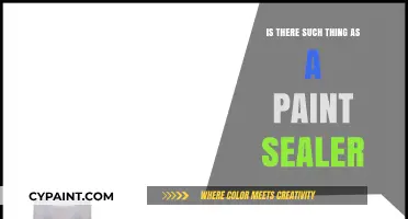Understanding Paint Sealers: Myth or Essential Coating Solution?